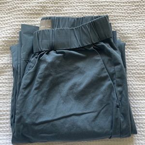 Everlane “The Easy Pant”